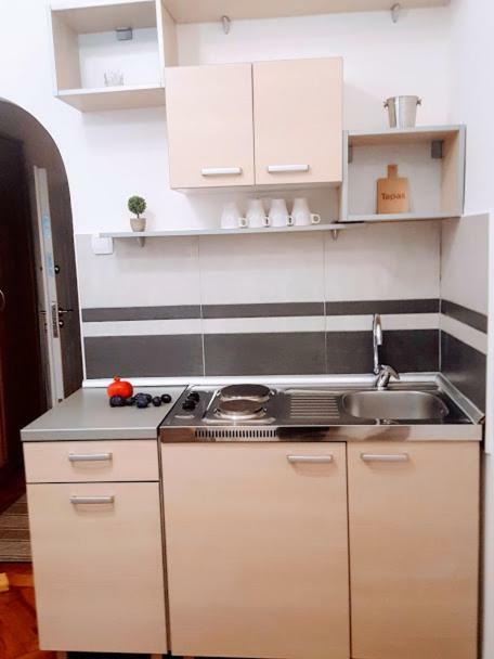 בלגרד Central Spot Apartments מראה חיצוני תמונה
